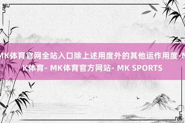 MK体育官网全站入口除上述用度外的其他运作用度-MK体育- MK体育官方网站- MK SPORTS