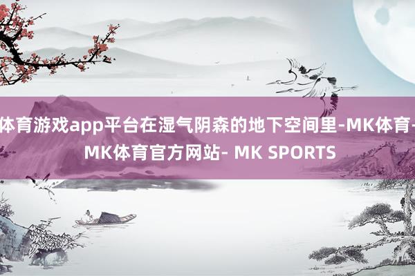 体育游戏app平台在湿气阴森的地下空间里-MK体育- MK体育官方网站- MK SPORTS