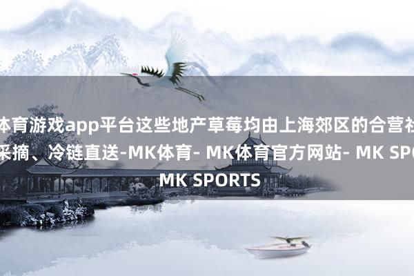 体育游戏app平台这些地产草莓均由上海郊区的合营社早晨采摘、冷链直送-MK体育- MK体育官方网站- MK SPORTS